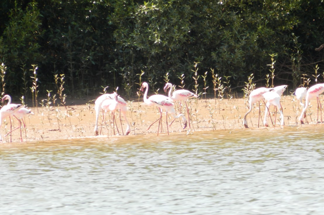 Visiter Majunga autrement