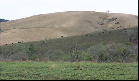 pâturage bemanevika