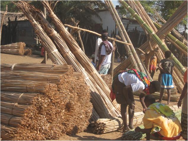 Comment concilier conservation de la biodiversité et développement local&nbsp;?