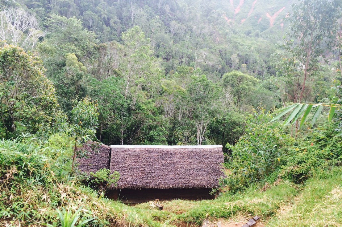 Vohimana, un autre joyau méconnu à&nbsp;Madagascar