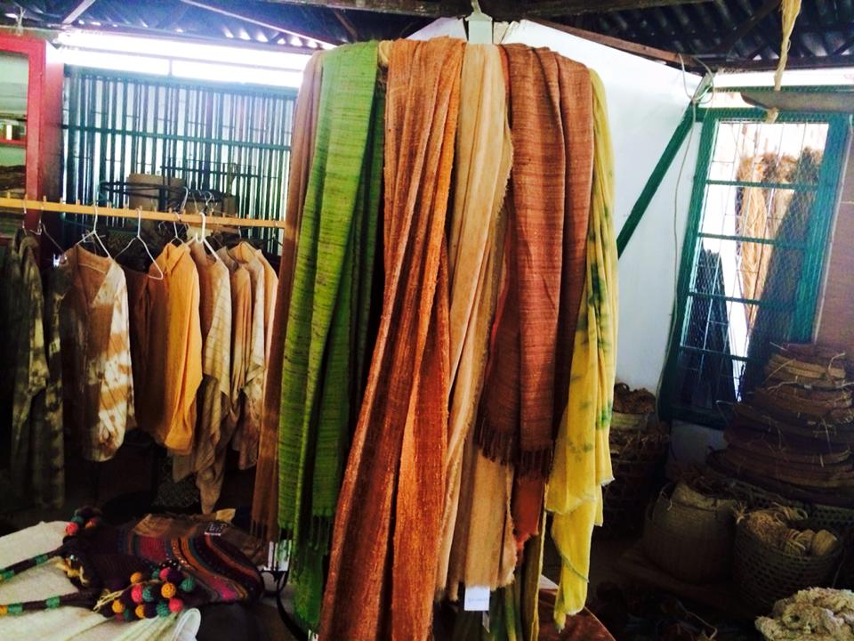 Soie sauvage, un moyen pour préserver les mangroves de Madagascar&nbsp;?