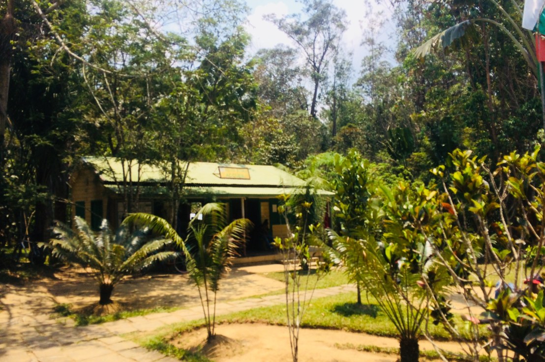 Parc de Mitsinjo, concilier  conservation et développement à&nbsp;Madagascar