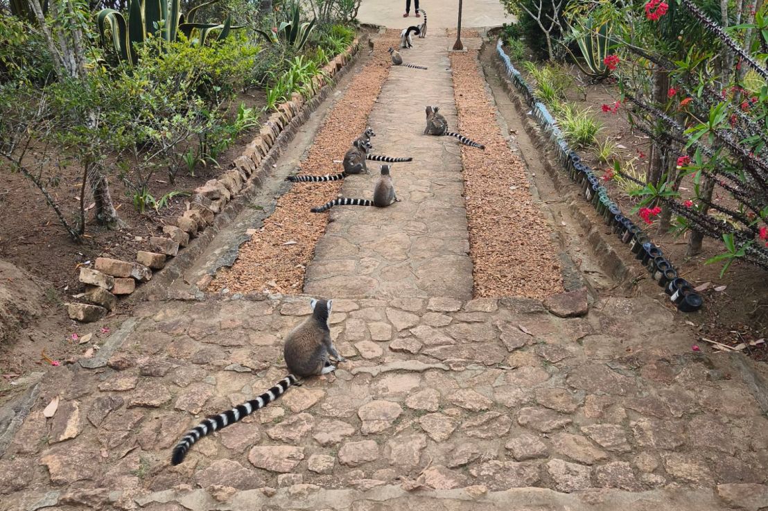 Escapade à Nosy Soa, un îlot aux lémuriens à&nbsp;Mantasoa